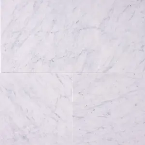 Carrara White Marble 12x24 Field Tile Polished/Honed Sample