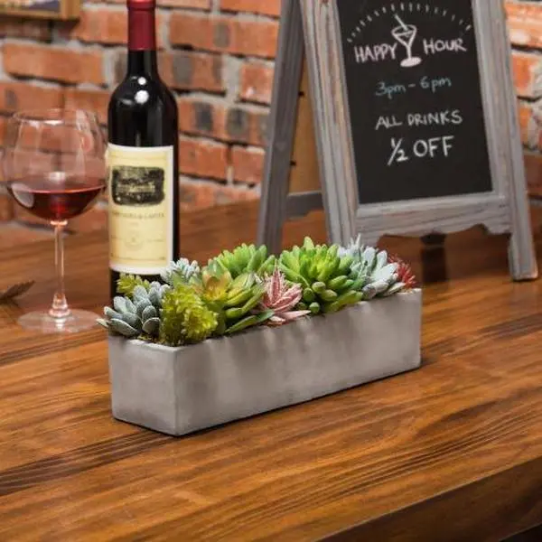 Faux Succulent Plants in Gray Cement Pot