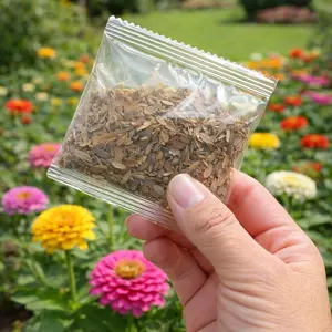 200 Zinnia Flower Seeds – Fast Germination, Vibrant Summer Blooms, Easy-Care Garden Flowers for Outdoor Planting, Flower Beds, Containers & Backyard Landscapes