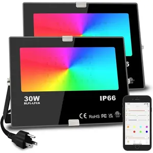 Led Flood Light 30W, 300W Equivalent 3000 LM Outdoor Color Changing Led Stage Landscape Lights,  RGBW  Floodlights 2700K & 16 Million Colors&Timing&  Sync, IP66, 3-Plug (2 Pack)