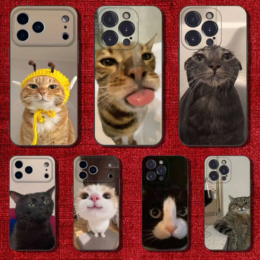 Funny animal cat phone case, shockproof soft silicone protective cover, compatible with iPhone 17/16/15/14/13/12/11/X/XS/XS Max/16E/17E, suitable as a holiday gift for friends, family, or yourself, Accessories, Smartphone, Cellphone, Handheld