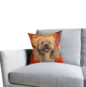 Custom pet pillow, pillow from pet photo, cat or dog pillow, with pet photo, dog lover