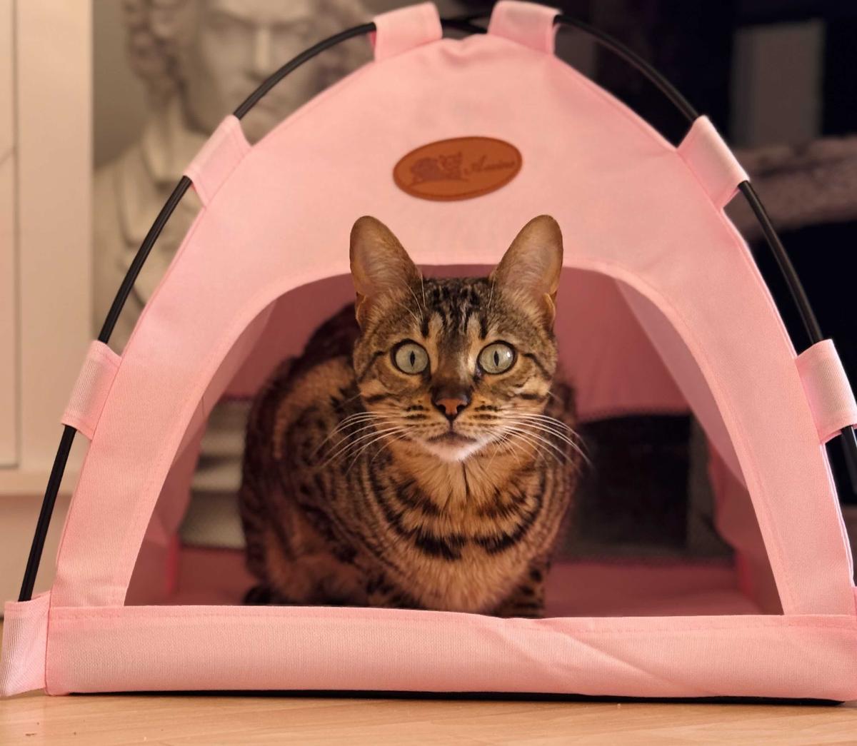 Item: Pink, L(within 15 pounds)