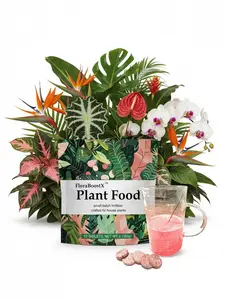 Instant Plant Food (12Tablets) Indoor & Houseplant Fertilizer