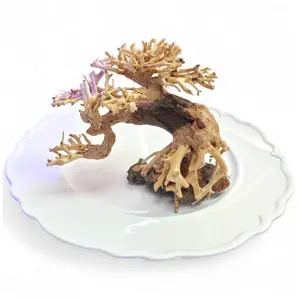 Tofu's Tanks Corcovado Driftwood Bonsai tree for Aquariums, Terrariums, and Vivariums!