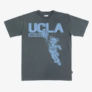 UCLA Monochromatic Heavy Tee, Crewneck Sweater, Hoodie