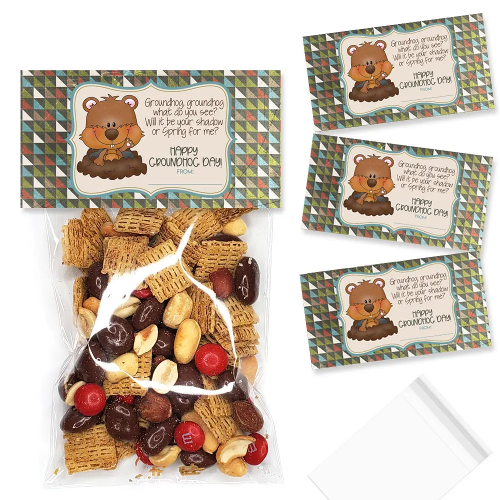 Groundhog Day Party Supplies | Treat Bag Toppers, Stickers & Kids Game Cards