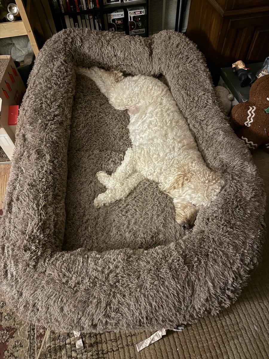 Item: 3-in-1 Flexible Camel(68x44x12)