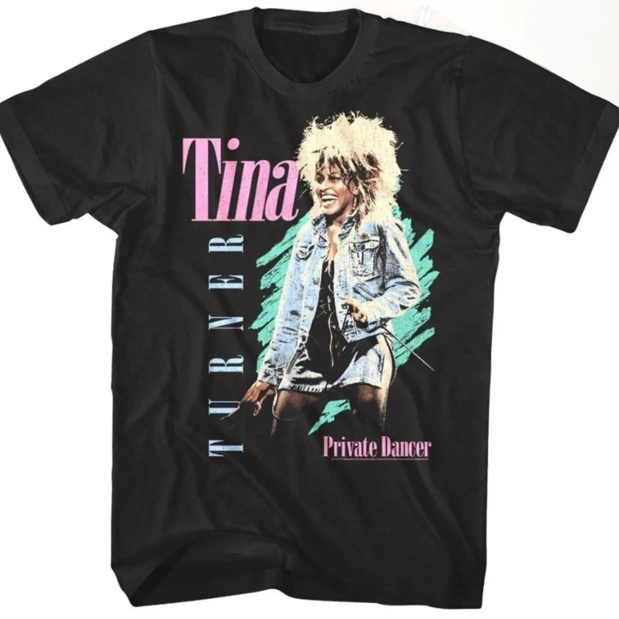 Retro Tina Turner Graphic T-Shirt – Music Lover Streetwear Tee – HGB16710
