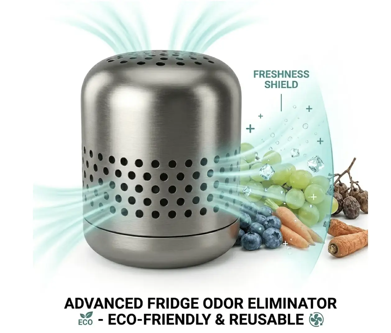 Stainless Steel Refrigerator Deodorizer