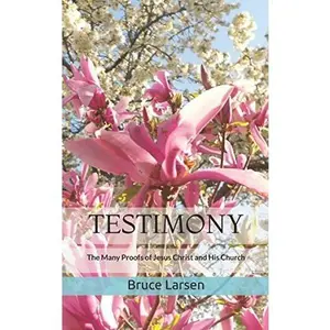USED-TESTIMONY: The Many Proofs of Jesus Christ and His Church by Bruce N Larsen (Paperback)