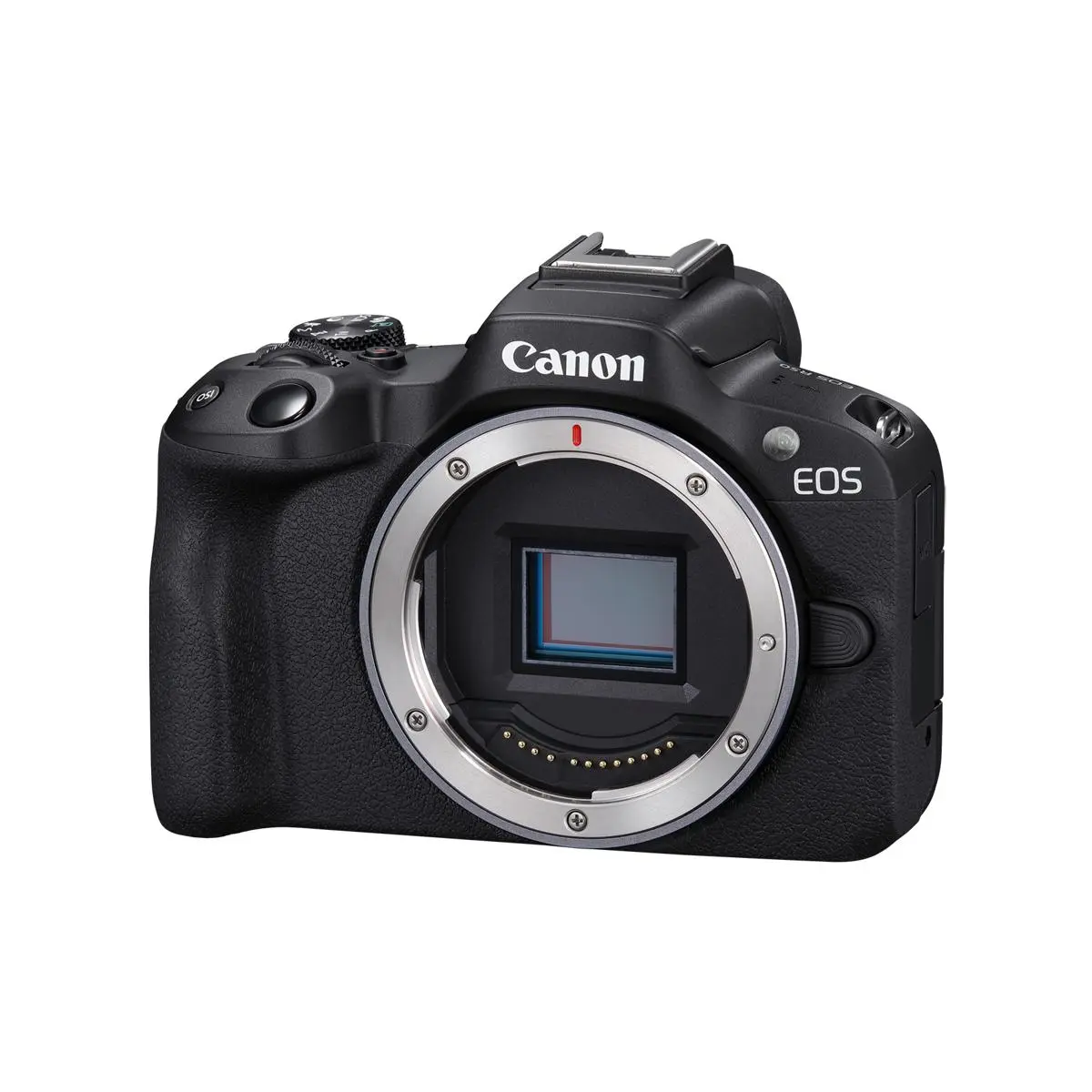 Canon EOS R50 Mirrorless Camera, Black
