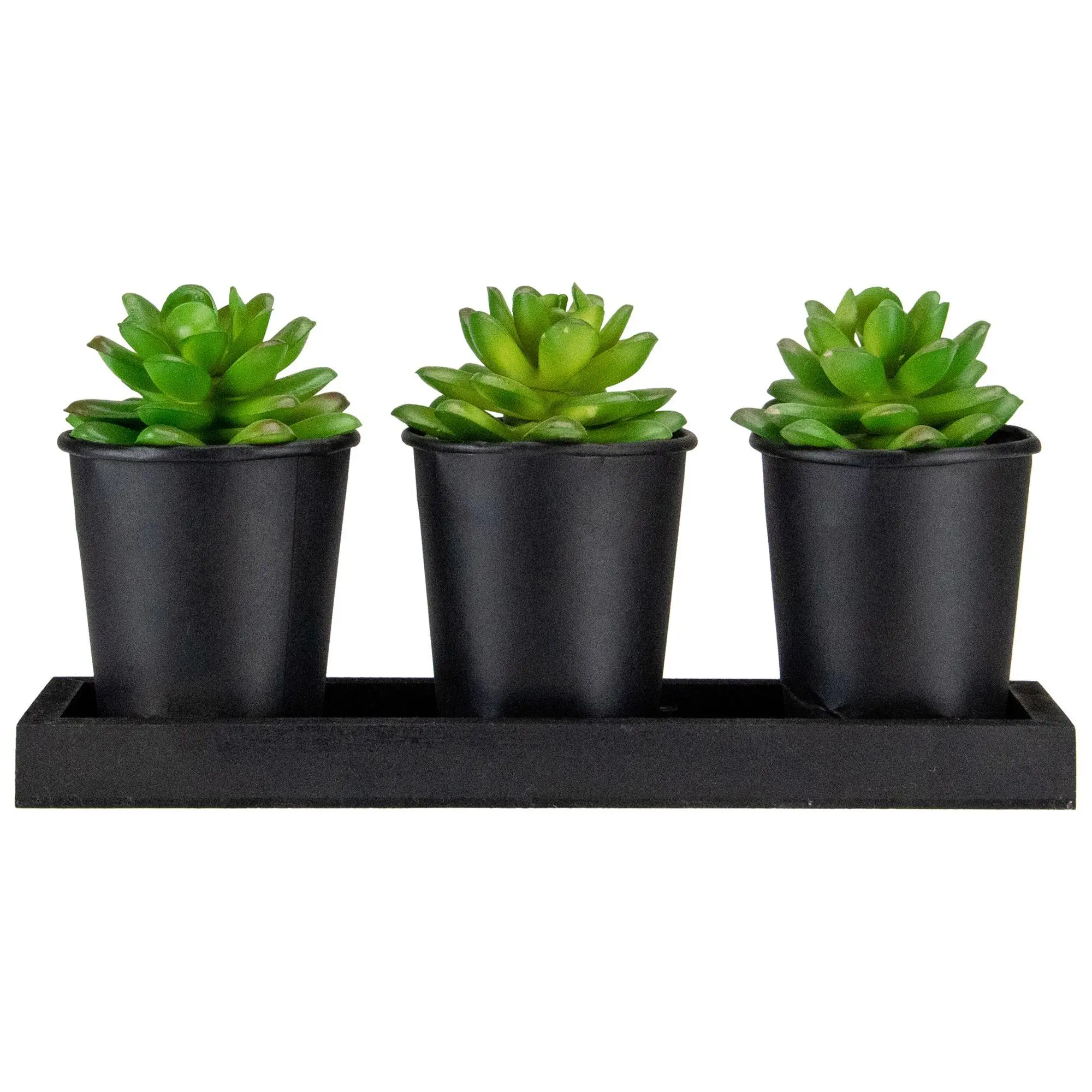 Northlight Set of 3 Artificial Potted Succulents w/Wood