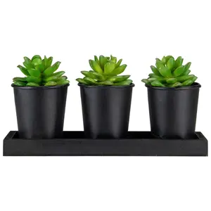 Northlight Set of 3 Artificial Potted Succulents w/Wood