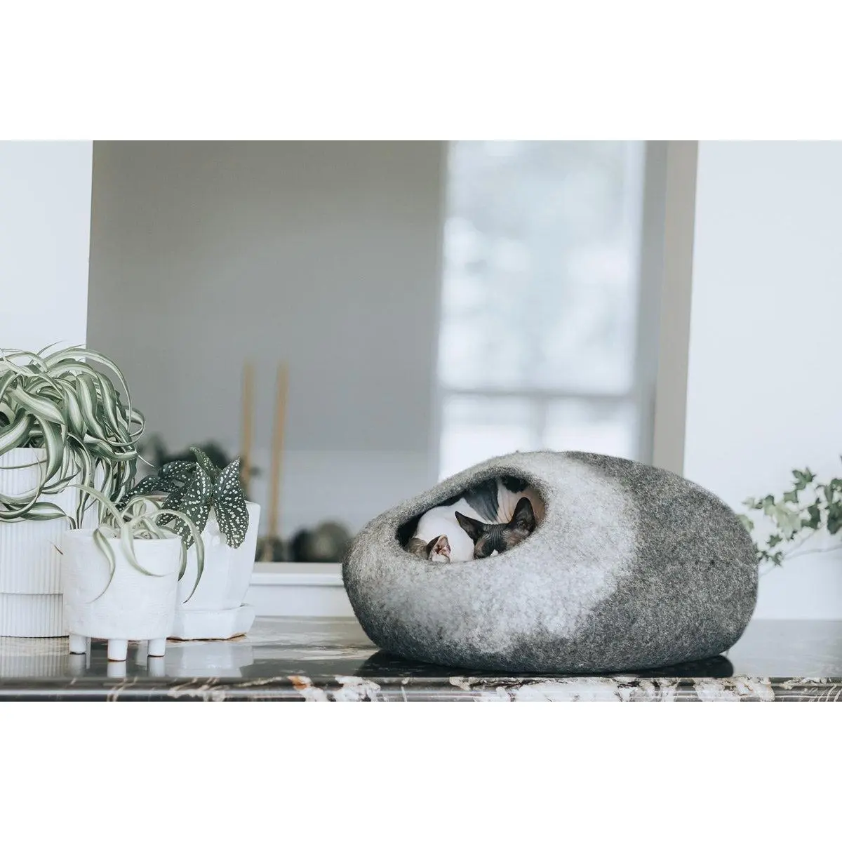 Skyline Cat Cave
