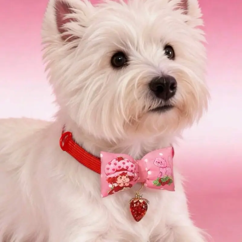 Strawberry Shortcake Pet Collar with Strawberry Charm - Red Band with Pink Bow and Red Charm