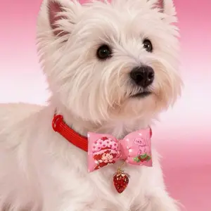 Strawberry Shortcake Pet Collar with Strawberry Charm - Red Band with Pink Bow and Red Charm