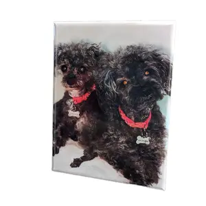 Custom print magnets for your fridge or workspace