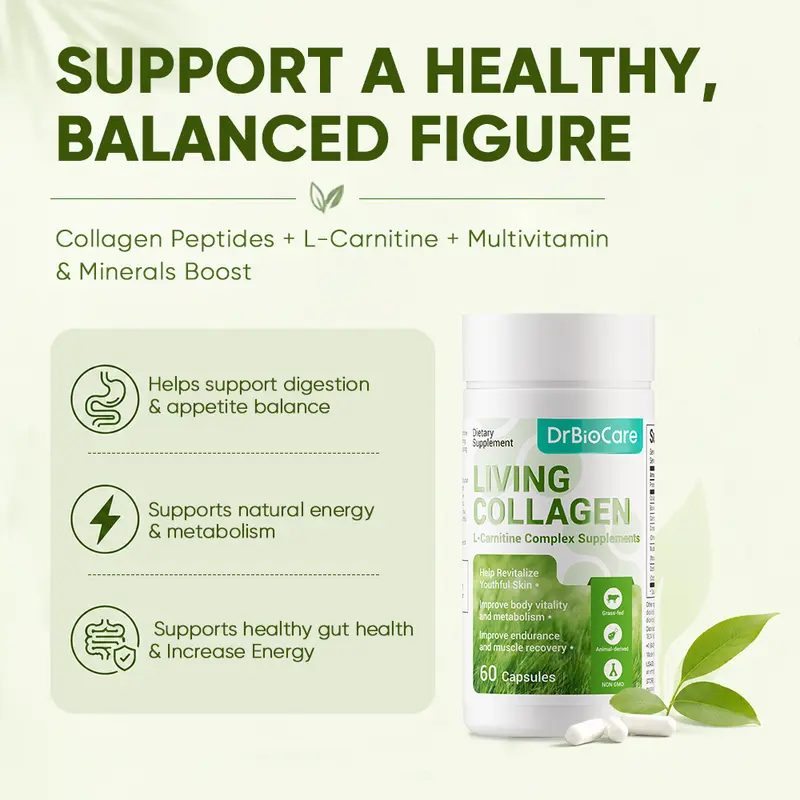dr biocare l carnitine DrBioCare Living Collagen L-Carnitine Complex – Women's Daily Energy & Beauty Support, Skin Firmness, Feminine Contour Balance, New Formula Size:15ml 12 pack Cardiac Protection Glutathione 1200 Mg Injection