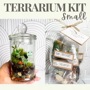 Terrarium DIY Kit Small - Glass Terrarium with Gravel Charcoal Soil Moss & Plants - Perfect for Outdoor Lovers