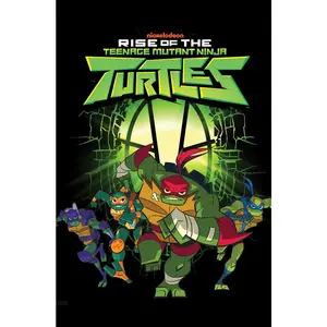 USED-Rise of the Teenage Mutant Ninja Turtles by Manning, Matthew K. (Paperback)