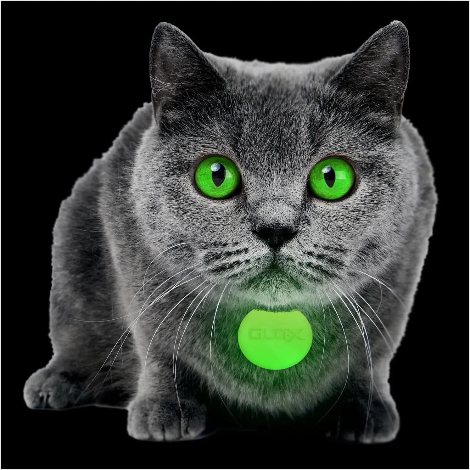 Glow in The Dark Pet Collar Tags