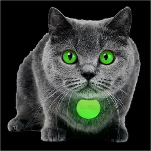Glow in The Dark Pet Collar Tags