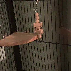 Wooden Bird Perch, Fan Shaped Bird Stand, Claw Grinding and Gnawing Rest Platform for Parrot (1 Count)