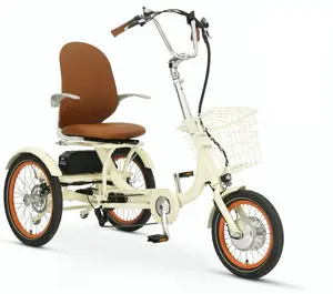 Simple Glide 500W  Recumbent E Trike