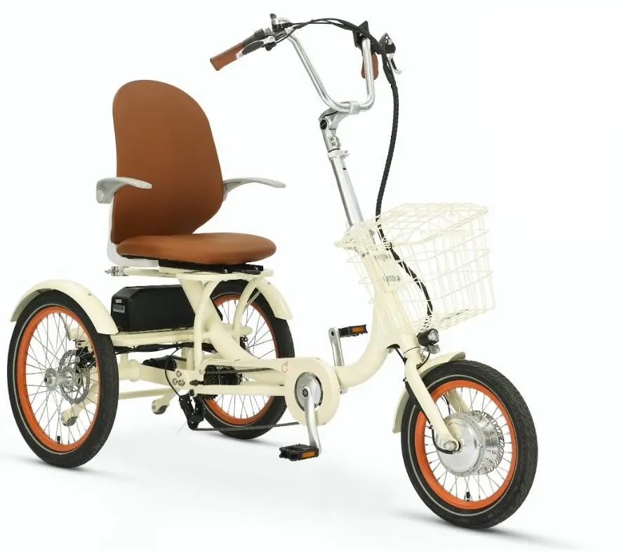 Simple Glide 500W  Recumbent E Trike