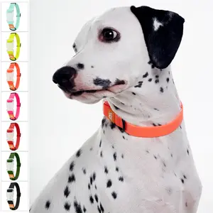 Pet Joot AllWeather Waterproof Dog Collar - Orange, Detachable, Durable PVC with Honeycomb Design, Quick Release Buckle, Eco-Friendly Plastic Clasp small puppy christmas dog