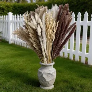 Warm Up Your Home: Soft Dried Pampas Grass