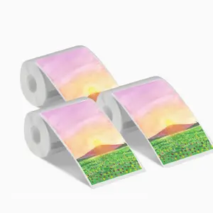 Colorful Thermal Printer Paper, 3 Rolls Waterproof & Oil-proof Label Paper, Label Sticker for NELKO PM220/PM110 Phomemo M110/M220 Printer