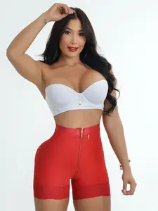 1537 Ariel Seamless Panty