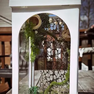Jumping Spider Lantern Enclosure