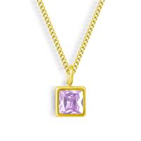 18K Gold Waterproof, Amethyst - February CZ