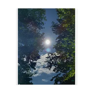 Poster - Captivating Night Sky