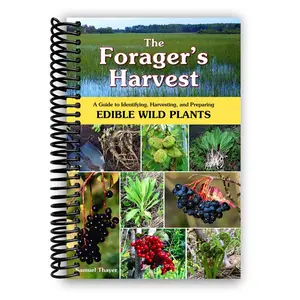 The Forager's Harvest: A Guide to Identifying, Harvesting, and Preparing Edible Wild Plants  by Samuel Thayer (Spiral Bound)