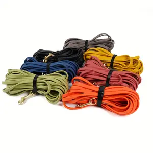 Durable Dog Leash, 1 Count Thickened Dog Training Leash, Outdoor Pet Leads for Yard, Garden, Park and Camping