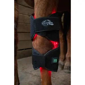 Red Light Therapy Horse Hock Wrap