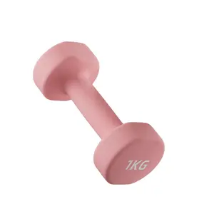 Dumbbell, 1 Set Non-slip Dumbbell, Hexagonal Design Dumbbell for Shoulder, Neck and Hand Training, Fitness Equipment for Home Gym