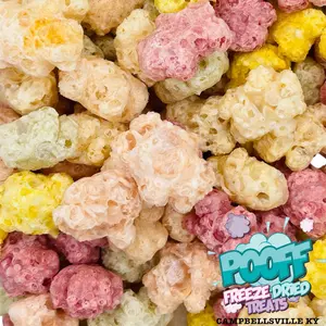 Freeze Dried Gummi Bears