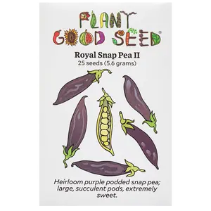 Royal Snap II Pea Seeds for Planting: Purple Podded, Plump, Sweet Flavor, for Fresh Eating or Snacks, Heirloom - 25 Seed Packet
