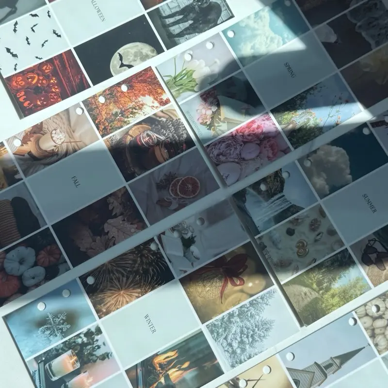 A6 Seasons dashboard