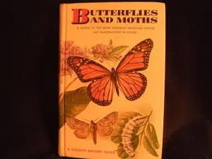USED-Butterflies and Moths (Golden Guides) by Robert T. Mitchell (Hardcover)