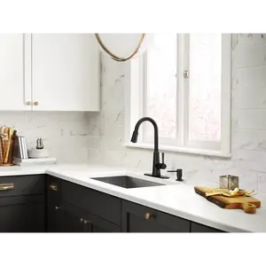 Trew One-Handle High Arc Pulldown Kitchen Faucet