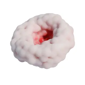 Premium TPR Bead-Filled Stress Relief Ball Soft Crunchy Sensory Sound Portable Shapeable Fidget Toy for Anxiety Relief Focus Improvement 6cm x 6cm