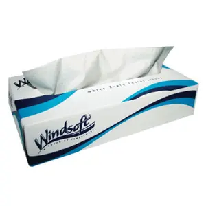 212 MAIN Windsoft WIN 2360 Disposable Face Towelettes, 2-Ply/100-Sheet Recycled Paper Soft Thick Facial Tissue Boxes, 8 in. x 8.3 in. White Napkins