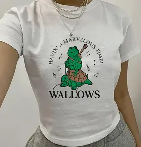 Wallows band having a marvelous time t-shirt, Wallows band bb tee y2k