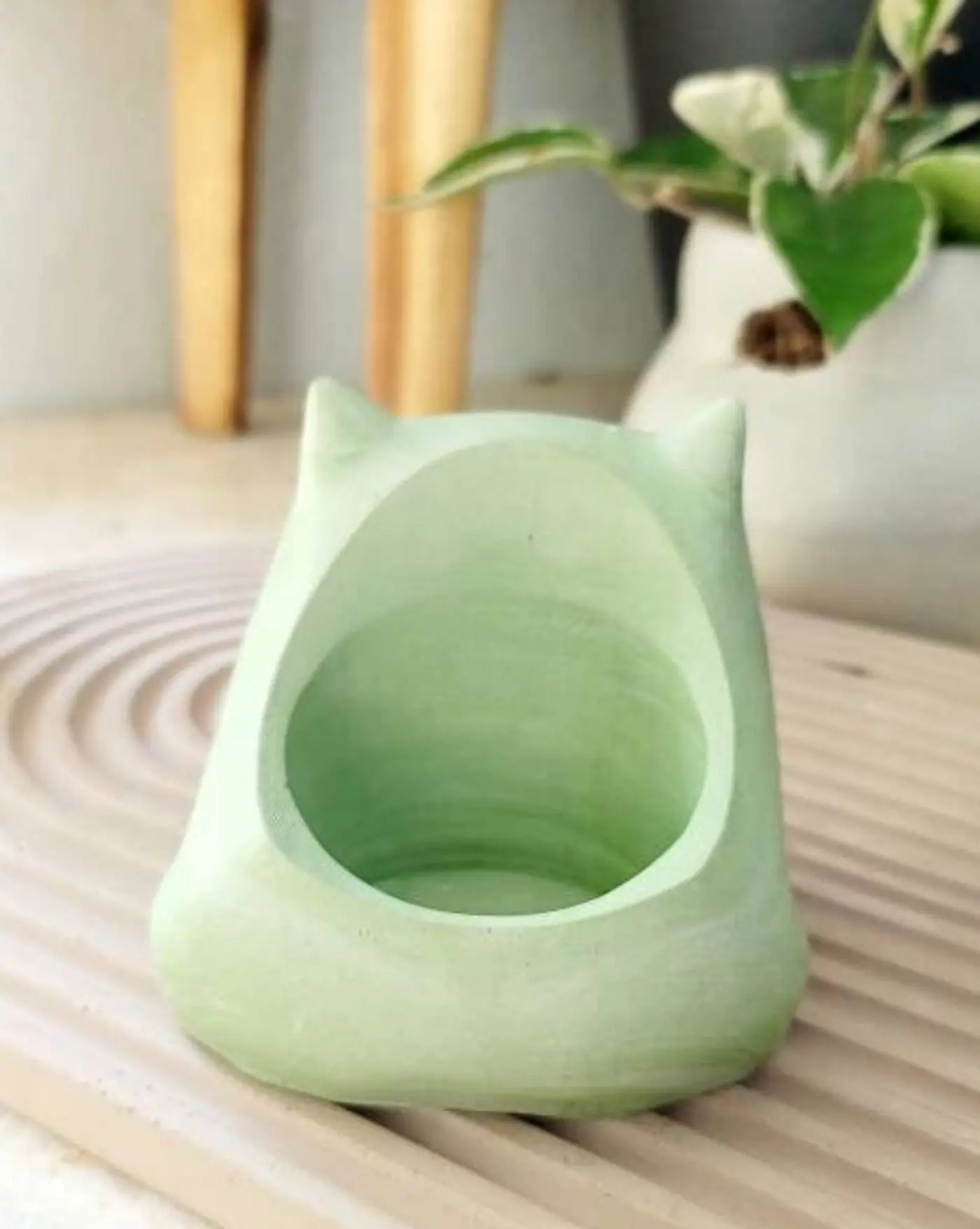 square potted plants Dillen 4.5